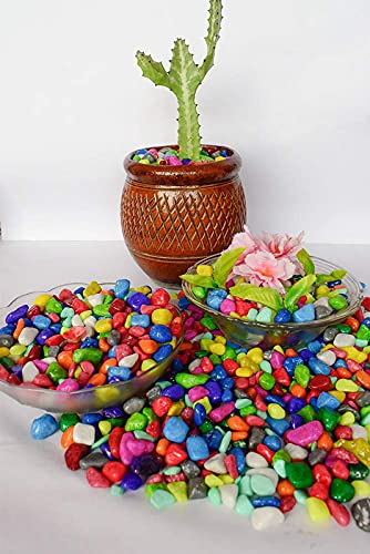 Multi-Color Stone Glossy and Decorative
