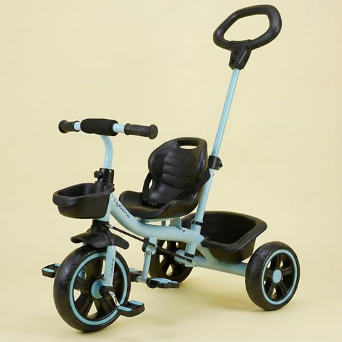 Lifelong Trike Cycle for Kids
