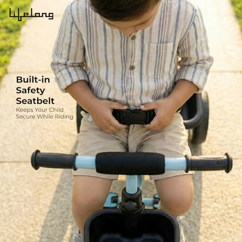Lifelong Trike Cycle for Kids
