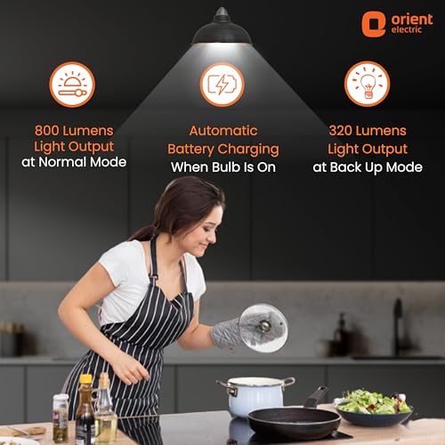 Orient Electric 9W Emergency LED