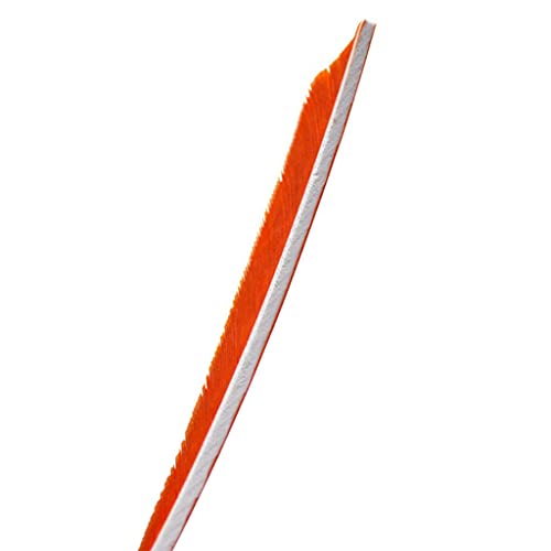 CALANDIS® 12 Pieces 4 Inch