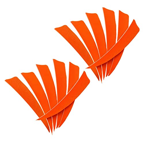 CALANDIS® 12 Pieces 4 Inch
