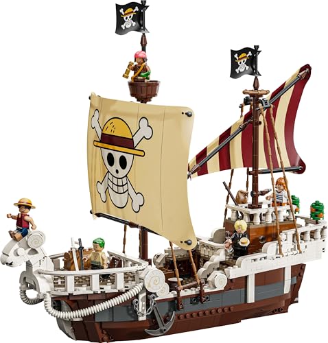 LEGO ONE PIECE The Going