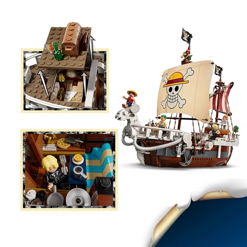 LEGO ONE PIECE The Going