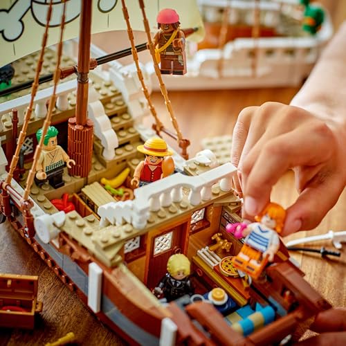 LEGO ONE PIECE The Going