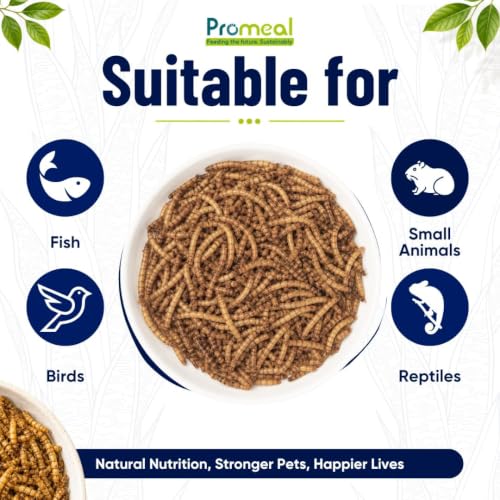 Promeal Dried Mealworms High Protein