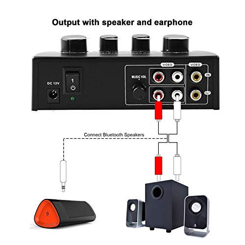 HAYDEN Portable Karaoke Sound Echo