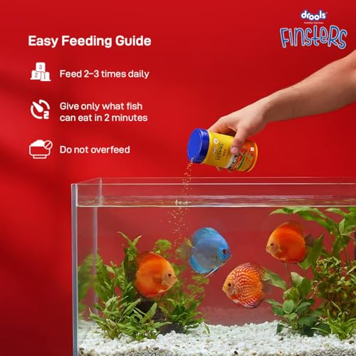Drools Finsters Bits Fish Food
