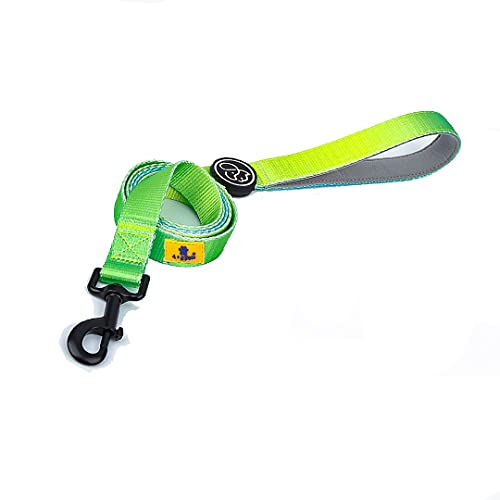 A+a Pets' Nylon Waterproof Leash
