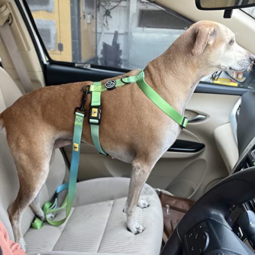 A+a Pets' Nylon Waterproof Leash