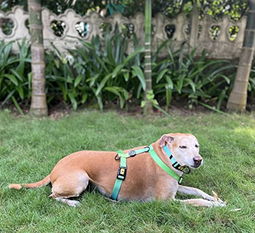A+a Pets' Nylon Waterproof Leash