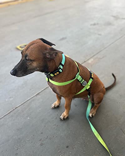 A+a Pets' Nylon Waterproof Leash