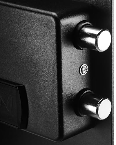 Amazon Basics Digital Safe