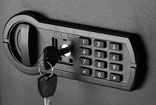 Amazon Basics Digital Safe