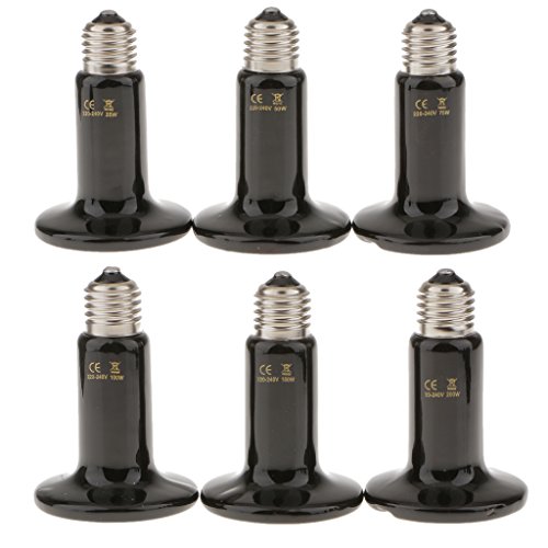 ECOMISTIQ® E27 Reptile Heat Lamp