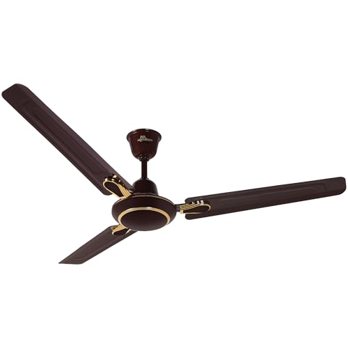 RR Signature Dhoom 1200MM Star-rated