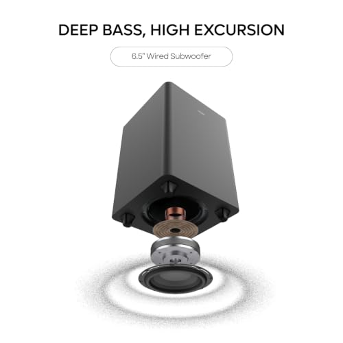 Noise Newly launched Homestage 5.1