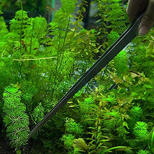 HASTHIP® 27cm Aquarium Tweezer Curved