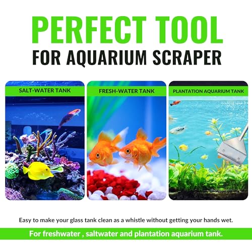 Buraq Pets Stainless Steel Algae Scraper for Crystal Clear Fish Tanks - Image 7