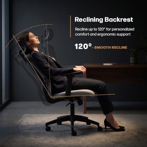 DROGO Ergonaut Ergonomic Office Chair