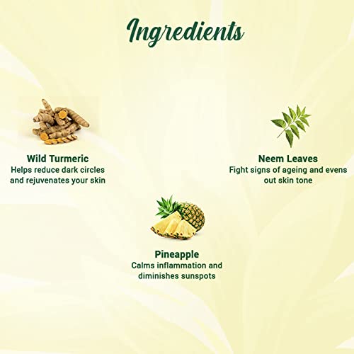 Biotique Pineapple Oil Control Foaming
