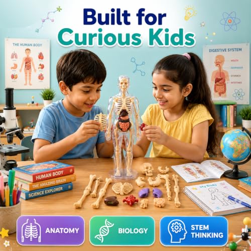 Lifelong Labs Anatomy Kit