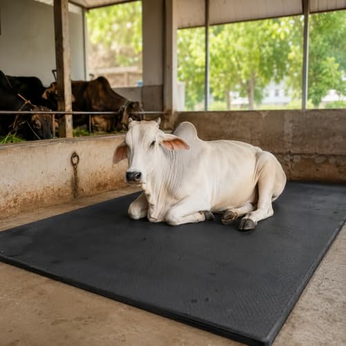 DIVAYANSHI Animal Feeding Waterproof mat