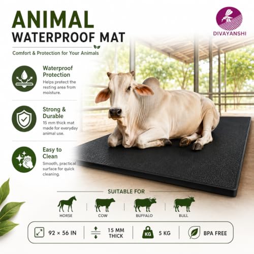 DIVAYANSHI Animal Feeding Waterproof mat