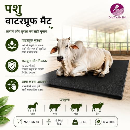 DIVAYANSHI Animal Feeding Waterproof mat