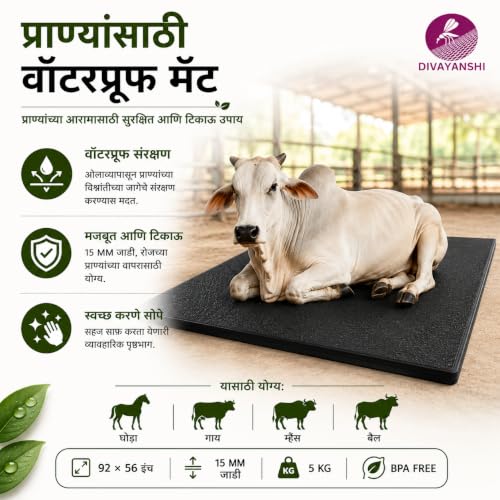 DIVAYANSHI Animal Feeding Waterproof mat
