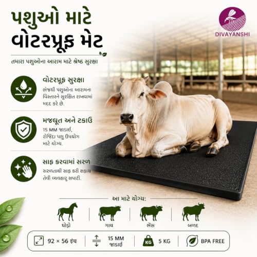 DIVAYANSHI Animal Feeding Waterproof mat