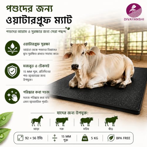 DIVAYANSHI Animal Feeding Waterproof mat
