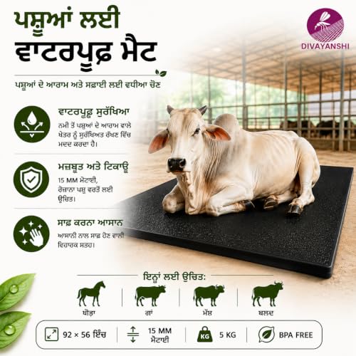 DIVAYANSHI Animal Feeding Waterproof mat