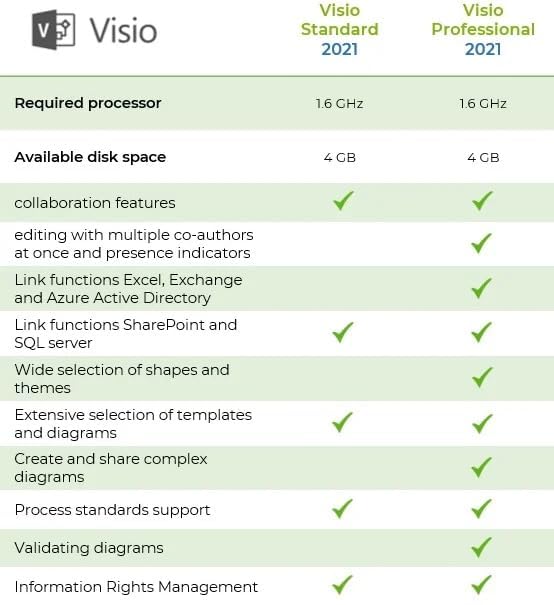 TECHLOCKER Visio Professional Pro 2021