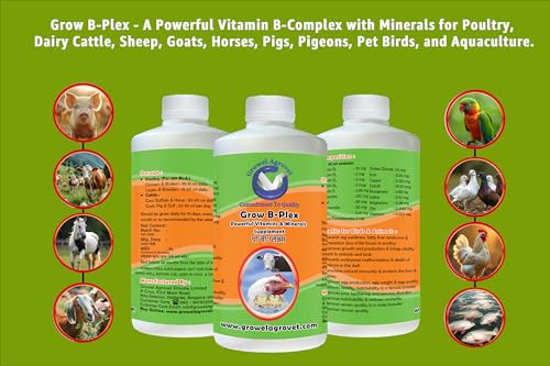 Growel Agrovet Grow B-Plex