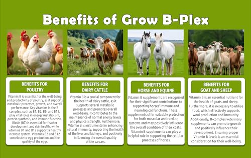 Growel Agrovet Grow B-Plex