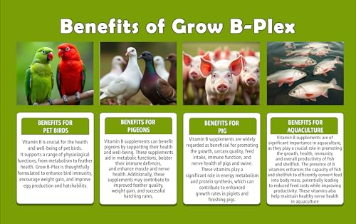 Growel Agrovet Grow B-Plex