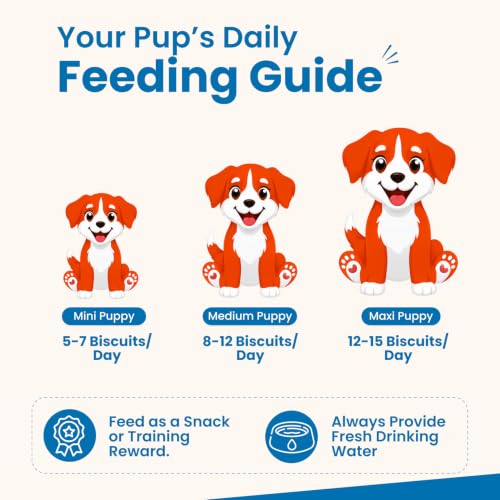Nootie Milk Biscuits for Puppies
