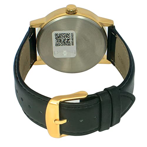 TIMEX Analog Watch for man