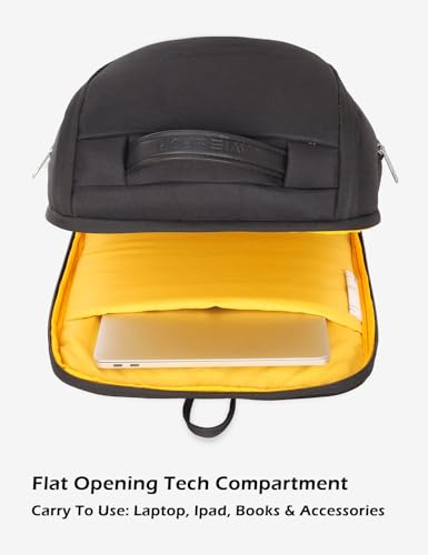 Lavie Sport Duke 23L Laptop