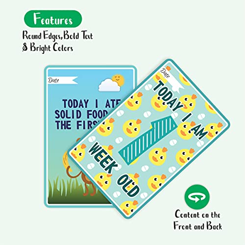 Bookworm Jungle Safari Animal Baby