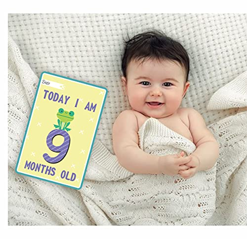 Bookworm Jungle Safari Animal Baby
