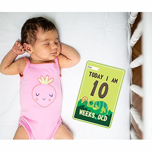 Bookworm Jungle Safari Animal Baby