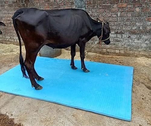 Rubber Cow Mat 8x5 Ft