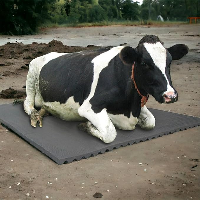 Rubber Cow Mat 8x5 Ft