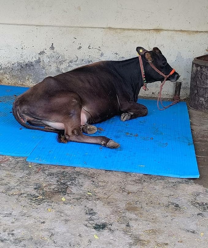 Rubber Cow Mat 8x5 Ft