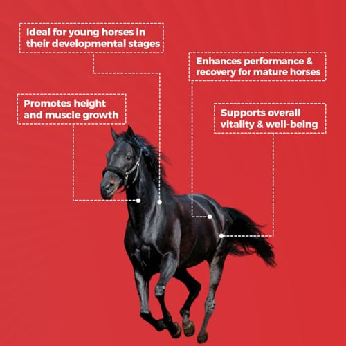 Grownex Equine Height and Muscle Growth Supplement for Horse (1 Litre) - Image 3