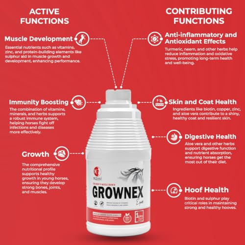 Grownex Equine Height and Muscle Growth Supplement for Horse (1 Litre) - Image 5