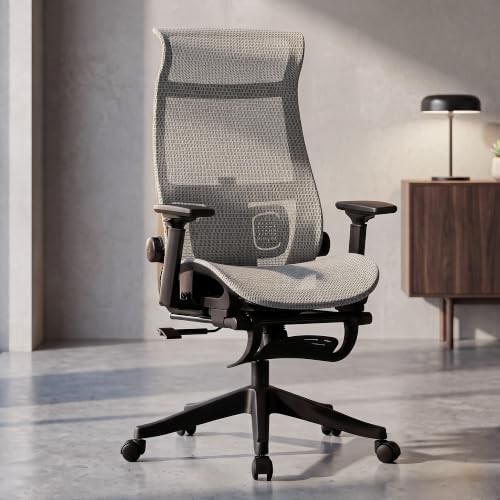DROGO Aerocurve Ergonomic Office Chair