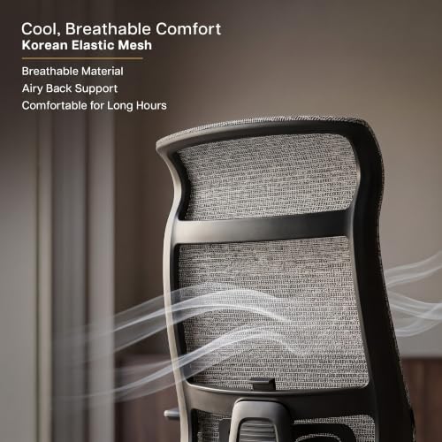 DROGO Aerocurve Ergonomic Office Chair